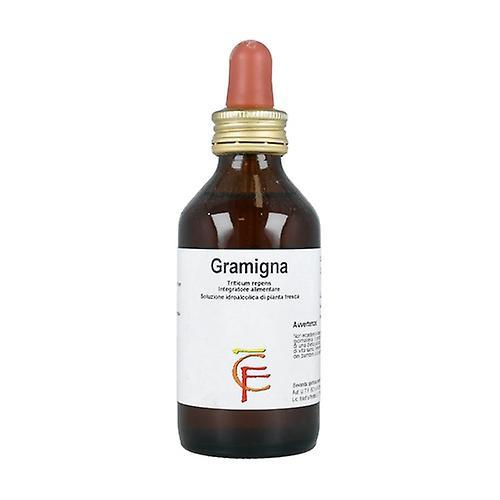 Centofiori Gramigna Hydroalcoholic Solution 100 ml on Productcaster.