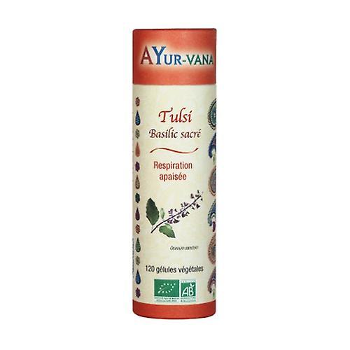 Ayur-Vana Organic Tulsi 120 capsules on Productcaster.