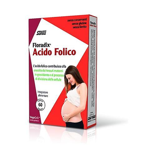 Salus Floradix Folic Acid 60 capsules on Productcaster.