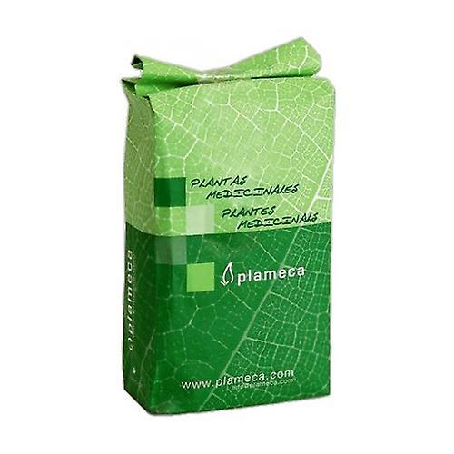 Plameca Common Mint Herb (Peppermint) 1 kg on Productcaster.