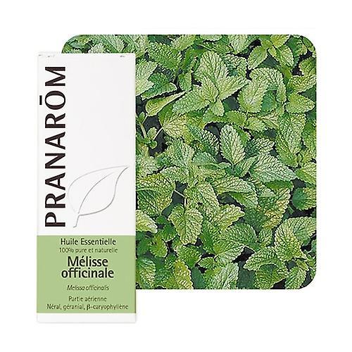 Pranarôm Lemon balm Essential Oil 5 ml of essential oil on Productcaster.