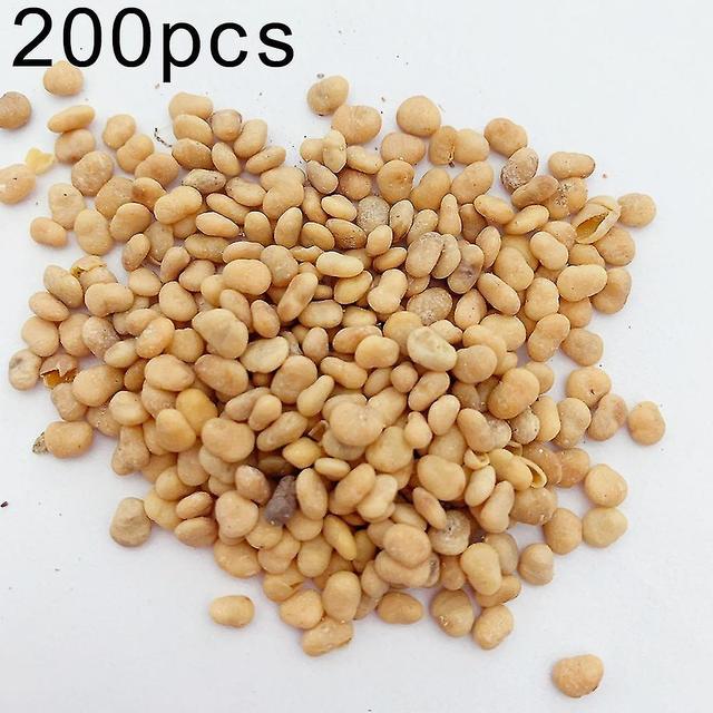 Suning 200Pcs Sweet Potato Seeds Bonsai Garden Delicious Fruit Vegetable Farm Plant on Productcaster.