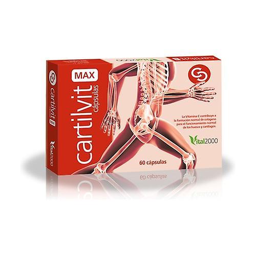 Vital 2000 Cartilvit Max 60 capsules on Productcaster.