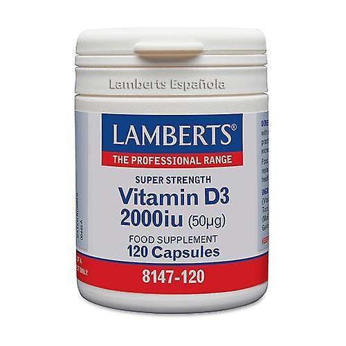 Lamberts Vitamin D3 2000 IU (50 μg) 120 capsules on Productcaster.