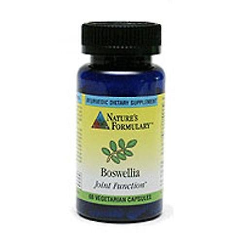 Nature's Formulary Natures Formulary Boswellia Serrata, EA 1/60 TAB (balenie po 1) on Productcaster.