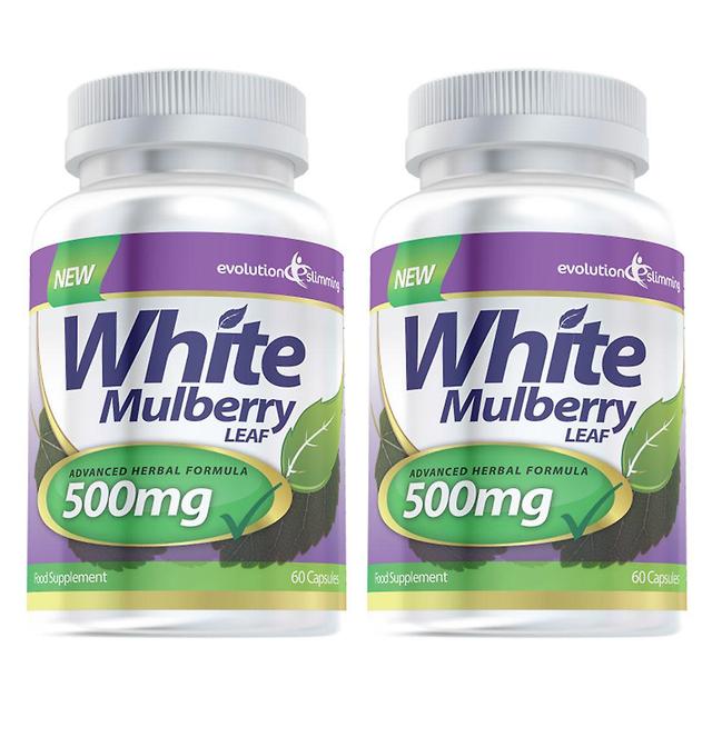 White Mulberry Leaf Extract 500mg - 120 Capsules - Sugar Controller - Evolution Slimming on Productcaster.