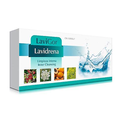 Lavigor Lavidrena (Viemärit 106) 20 injektiopulloa on Productcaster.