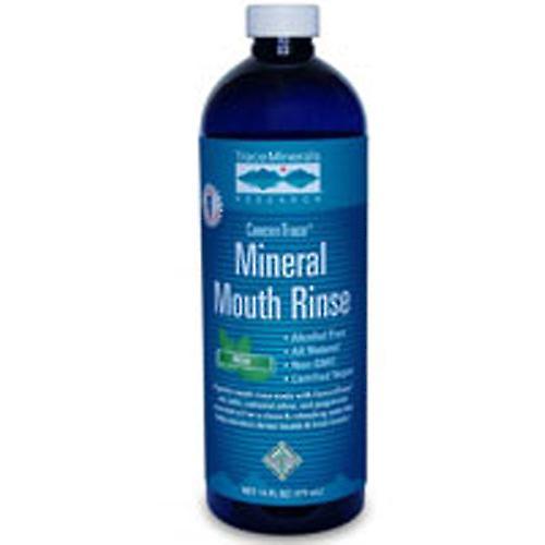 Trace Minerals ConcenTrace Mineral Mouth Rinse, 16 oz (Pack of 1) on Productcaster.