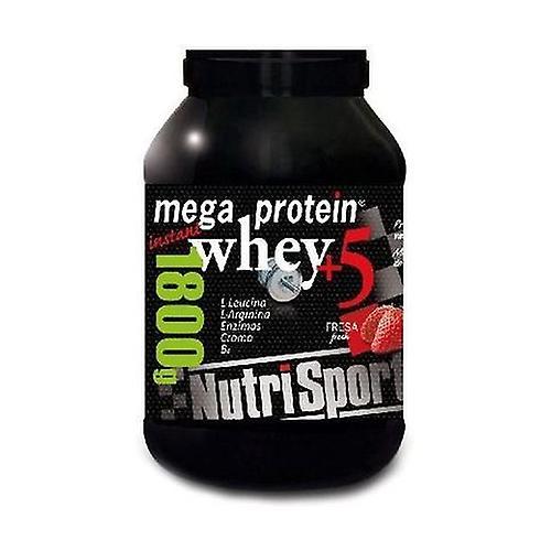 Nutrisport Mega Protein (Strawberry Flavor) 1,8 kg (Strawberry) on Productcaster.