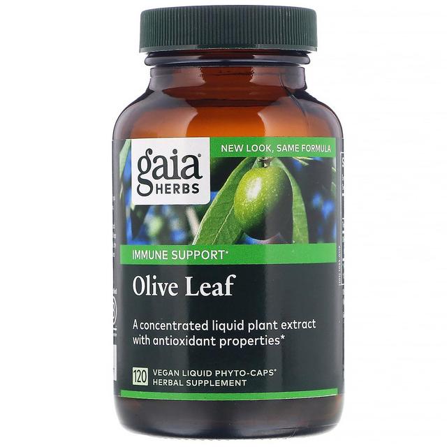 Gaia Herbs Gaia-yrtit, oliivinlehti, 120 vegaanista nestemäistä fytokorkkia on Productcaster.