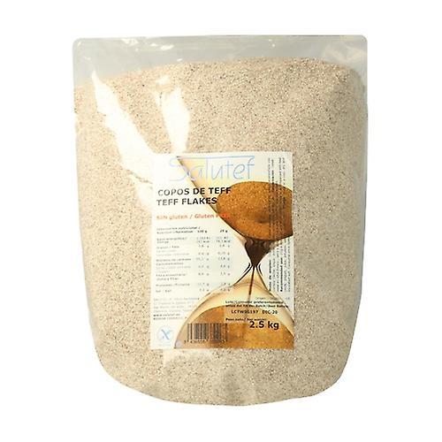 Salutef Teff flakes 2,5 kg on Productcaster.