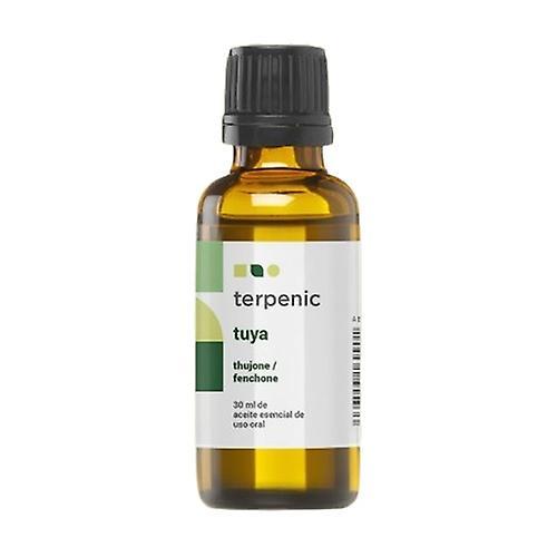 Terpenic thuja essential oil 30 ml of oil on Productcaster.