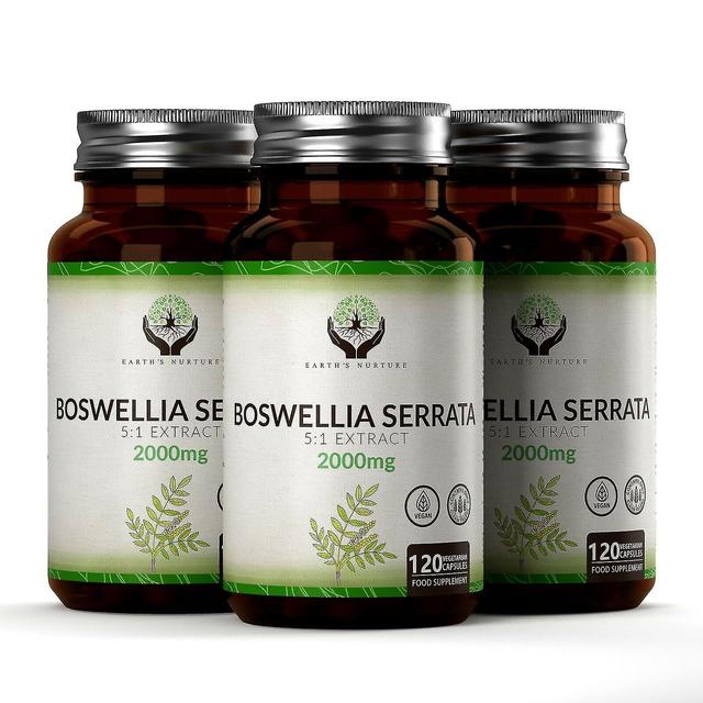 Coscelia Boswellia Serrata Extract 2000mg 120 Capsules 3 Bottles (360 Capsules) on Productcaster.