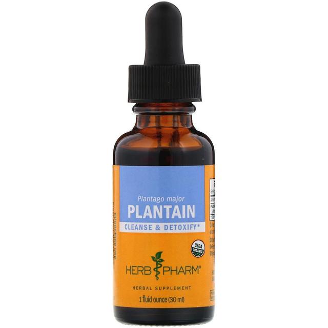 Herb Pharm, Plantain, Fresh Leaf, 1 fl oz (30 ml) on Productcaster.