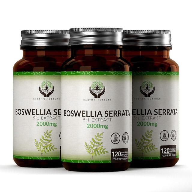 Earth's Nurture Boswellia Serrata Extract 2000mg 120 Capsules 3 Bottles (360 Capsules) on Productcaster.