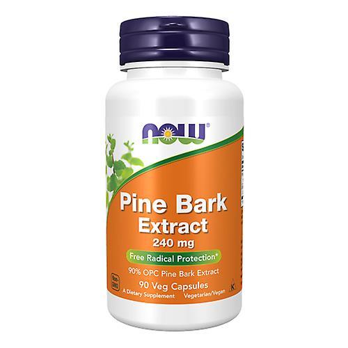 Now Foods Estratto di corteccia di pino, 240 mg, 90 vcaps (Confezione da 3) on Productcaster.