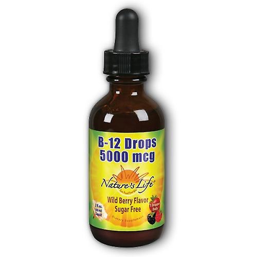 Nature's Life B-12 Drops, 5, 000 mcg, 2 oz (Pack of 4) on Productcaster.