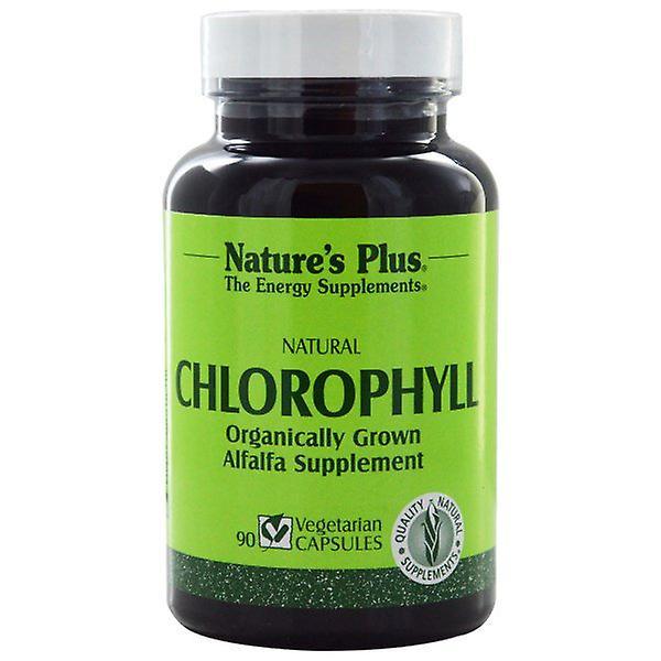 Natural Chlorophyll (90 Veggie Caps) - Nature's Plus on Productcaster.