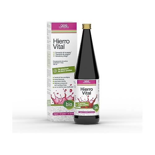 GSE Bio vital iron 330 ml on Productcaster.