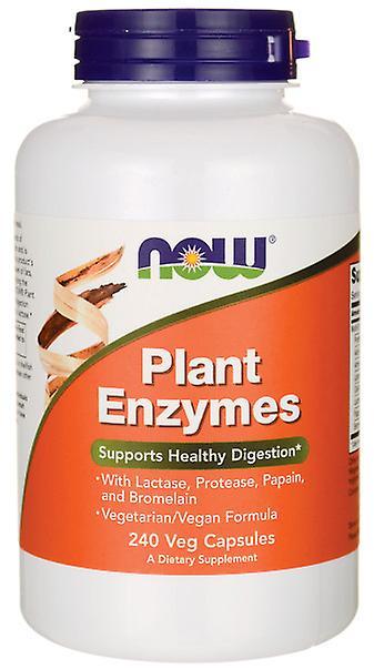 Now Foods Plant Enzymes 240 Capsules 733739029652 on Productcaster.