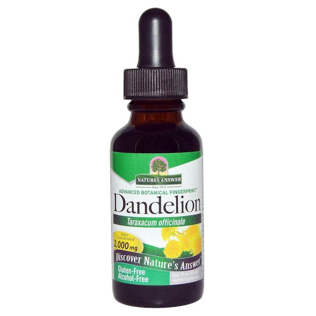 Nature's Answer Resposta da Natureza, Dente de Leão, Sem Álcool, 2.000 mg, 1 fl oz (30 ml) on Productcaster.