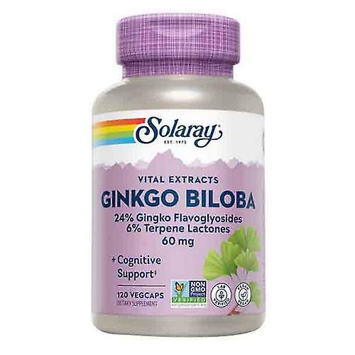 Solaray Ginkgo Biloba Leaf Extract,60 mg ,120 Caps (Pack of 3) on Productcaster.