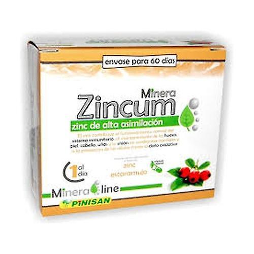 Pinisan Mineraline Zincum 60 capsules on Productcaster.