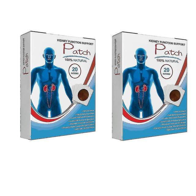 Kidney Function Support Patch, Kidney Function Improve Overall Physical Health Promote Detoxification, Relieve Fatigue And Eliminate Itching-24 -NE... on Productcaster.