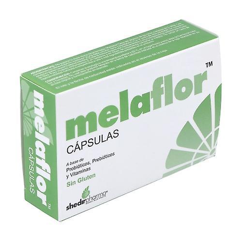 Shedir Pharma Melaflor gastrointestinal health 30 capsules on Productcaster.