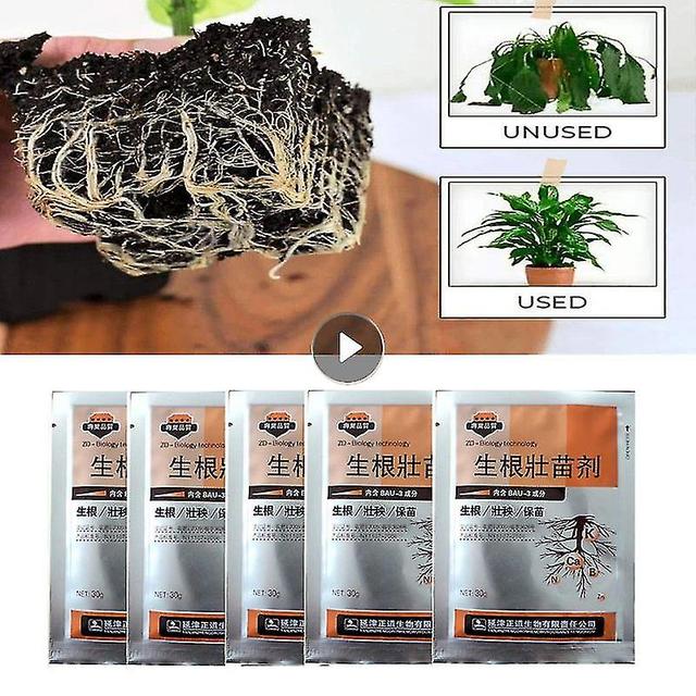 Cytokinin Plant Hormones Pack Plants Fast Rooting Aid Rapid Medicinal Seedling Agent Powder on Productcaster.