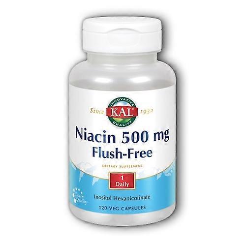 Kal Niacin Flush Free, 120 Veg Caps (Pack of 1) on Productcaster.