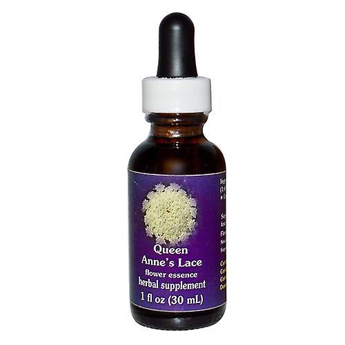 Flower Essence Services Queen Annes Lace Dropper, 1 oz (1er Pack) on Productcaster.