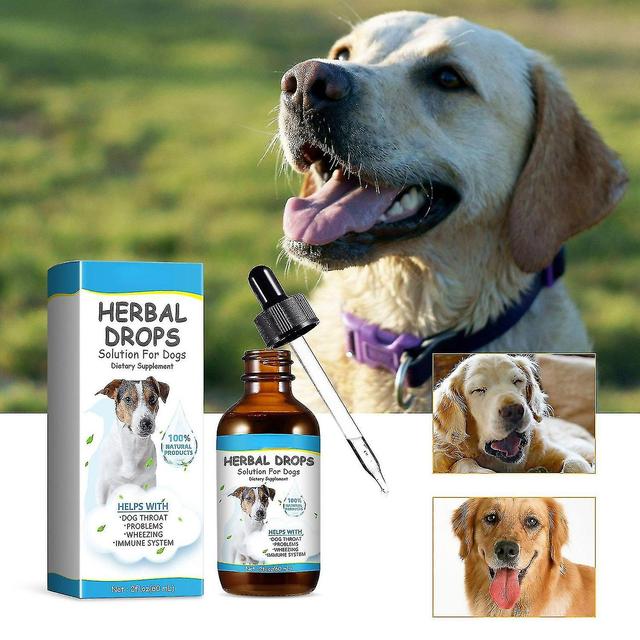 Cough Treatment For Dogs, Herbal Drops Solution For Dogs Dietary Supplement, Kennel Cough For Dogs on Productcaster.