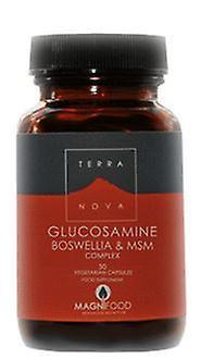 Terra Nova Terranova Glukosamin Boswellia og Msm Complex Vegetabilske kapsler 50 on Productcaster.