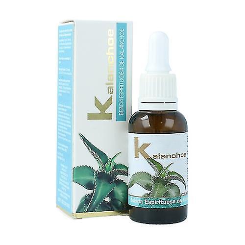 Hotime Kalanchoe Support Forsvar Og Celle Regenerering 30 ml on Productcaster.