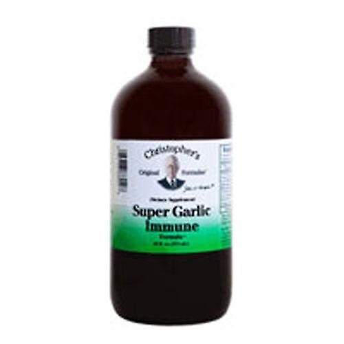 Dr. Christophers Formulas Super Garlic Immune Sirup, 4 oz (balenie po 2) on Productcaster.