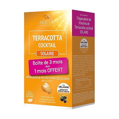 Biocyte Solar terracotta pack 90 tablets on Productcaster.