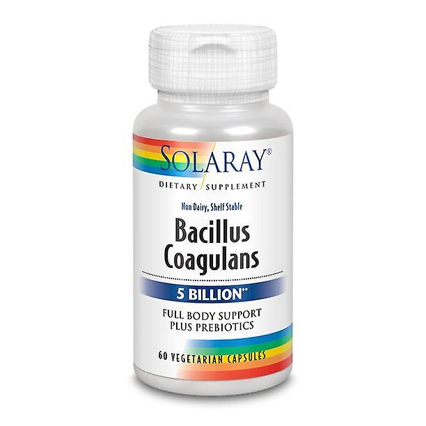 Solaray bacillus coagulans probiotic, shelf stable | full body support | 5 bill. cfus & prebiotics, 60 vegcaps, 30 serv. on Productcaster.