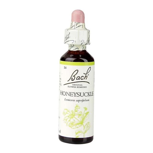 Bach flower remedies honeysuckle on Productcaster.