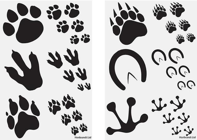 Henbrandt Ltd Footprints 60 pcs children's tattoos tattoo animals White on Productcaster.