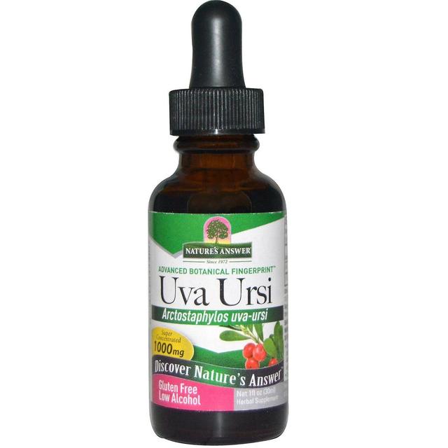 Nature's Answer Nature's Risposta, Uva Ursi, Basso alcool, 1000 mg, 1 fl oz (30 ml) on Productcaster.