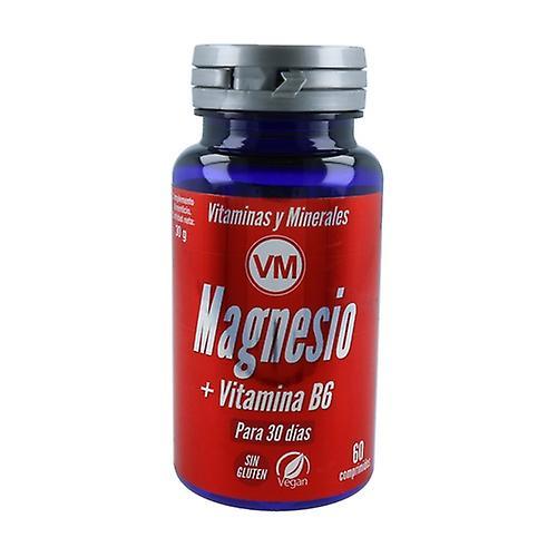 Ynsadiet Magnesium and Vitamin B6 60 tablets on Productcaster.