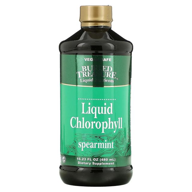 Buried Treasure, Liquid Chlorophyll, Spearmint, 16.23 fl oz (480 ml) on Productcaster.