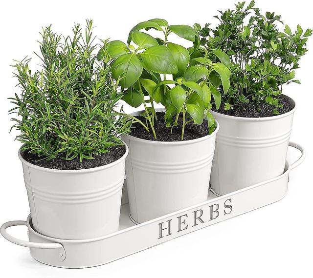 -yard S Herb En Planter Indoor Planter Set With Tray Or Outdoor Ow Planter Box, Ill Planter Box, Ind on Productcaster.