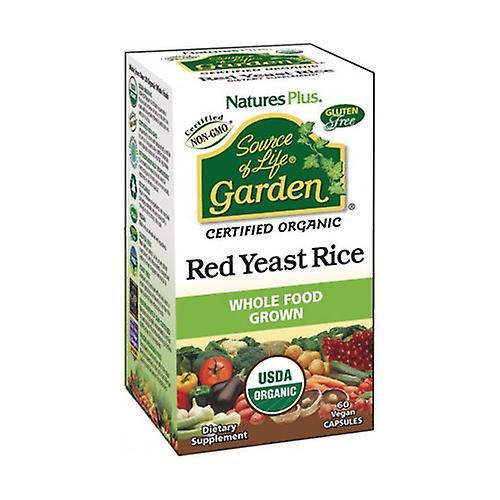 Nature's Plus Garden Red Rice Yeast 60 capsules on Productcaster.