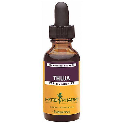 Herb Pharm Thuja Extract, 1 Oz (Pack of 1) on Productcaster.