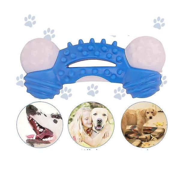 2 stuks huisdier kauwen speelgoed bijten-resistente training tandjes speelgoed hond kauwen speelgoed huisdier beetbestendig tandjes speelgoed Blauw on Productcaster.