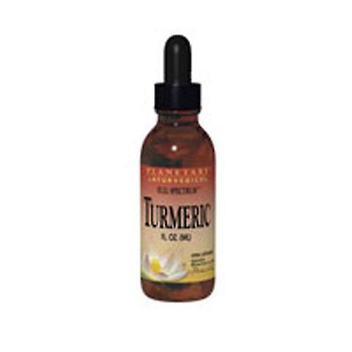 Planetary Ayurvedics Turmeric Full Spectrum, Enhanced Bioavailability 2 oz (Pack of 1) on Productcaster.