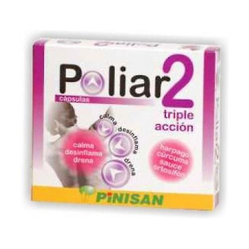 Pinisan Poliar Gesic 40 capsules on Productcaster.