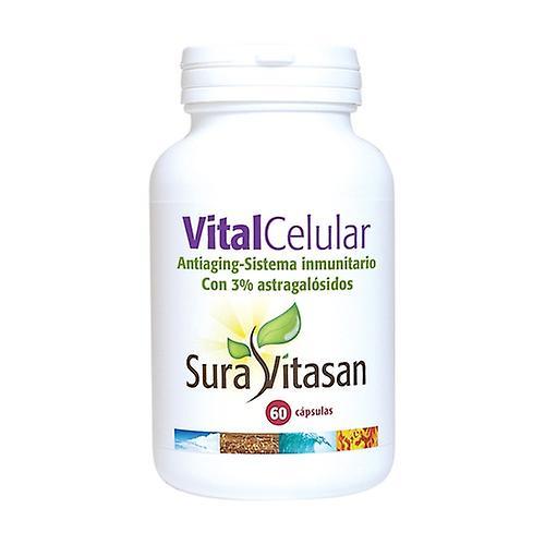 Sura Vitasan Vital Cell 60 kapsler on Productcaster.